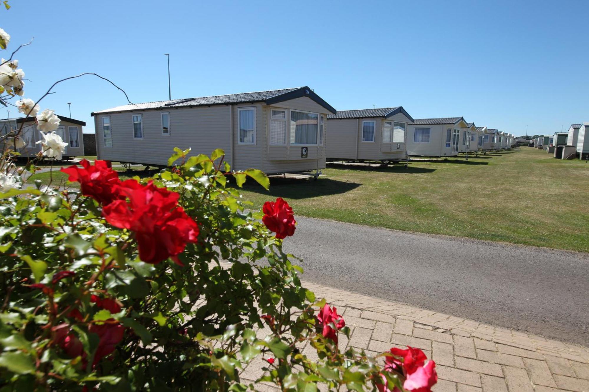 Red Lion Holiday Park Arbroath Εξωτερικό φωτογραφία